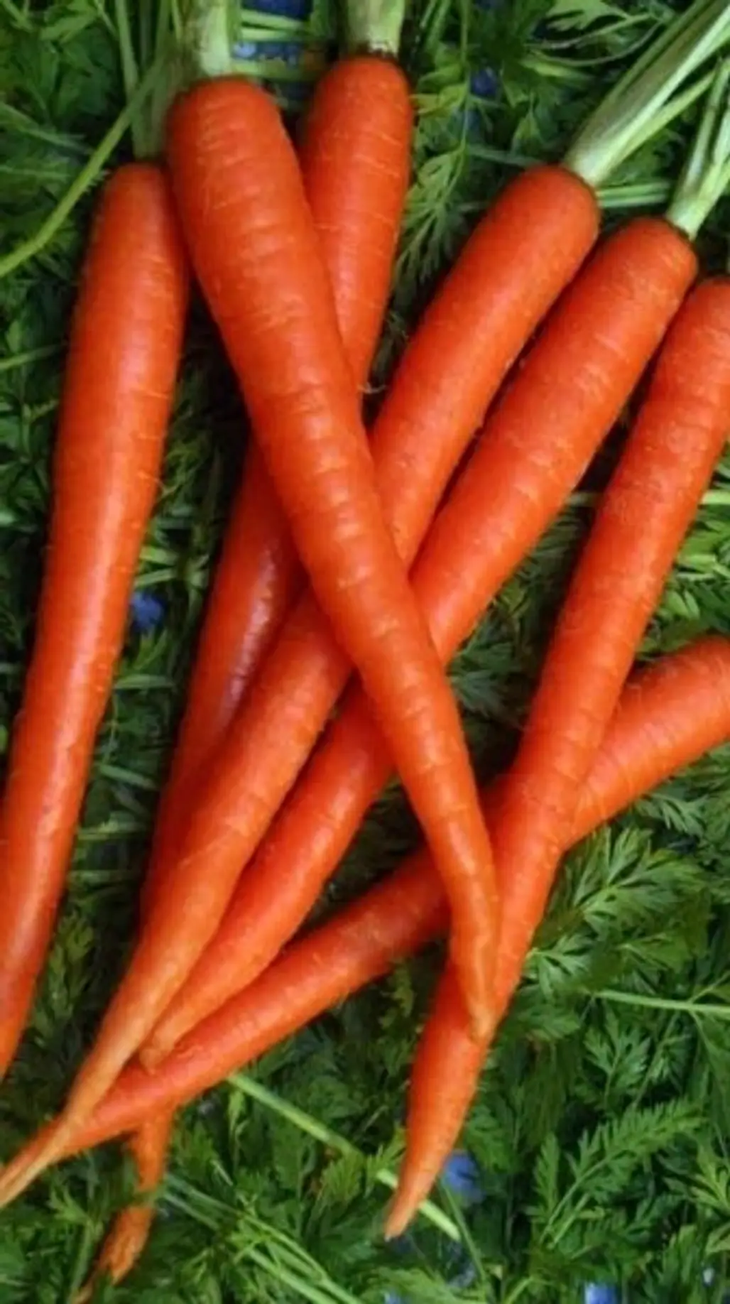 Carrots for PMS
