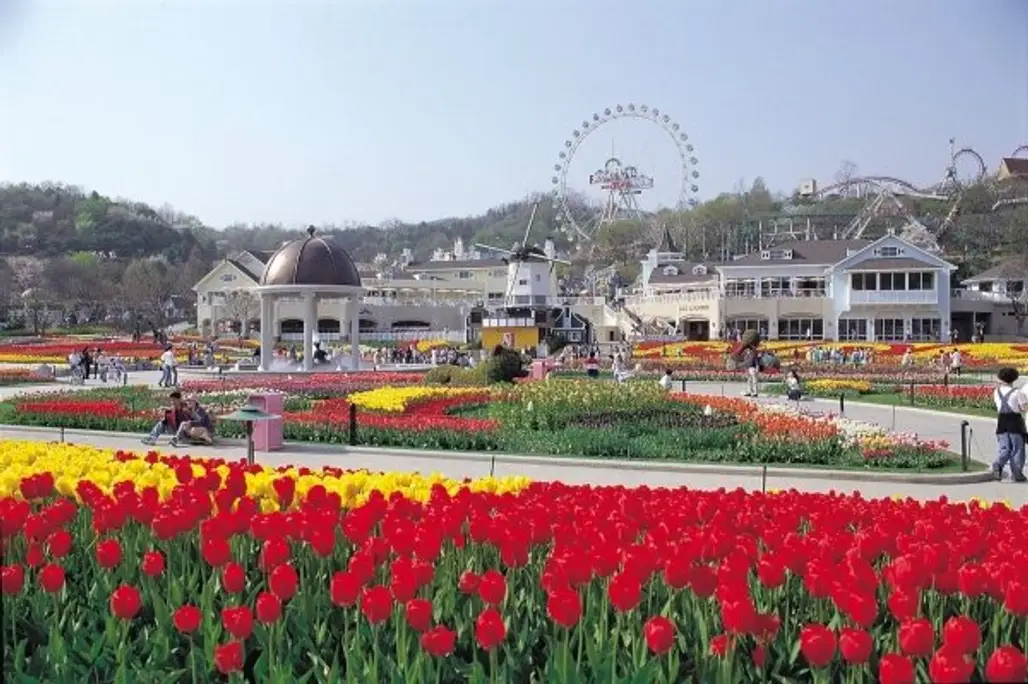 Everland, South Korea