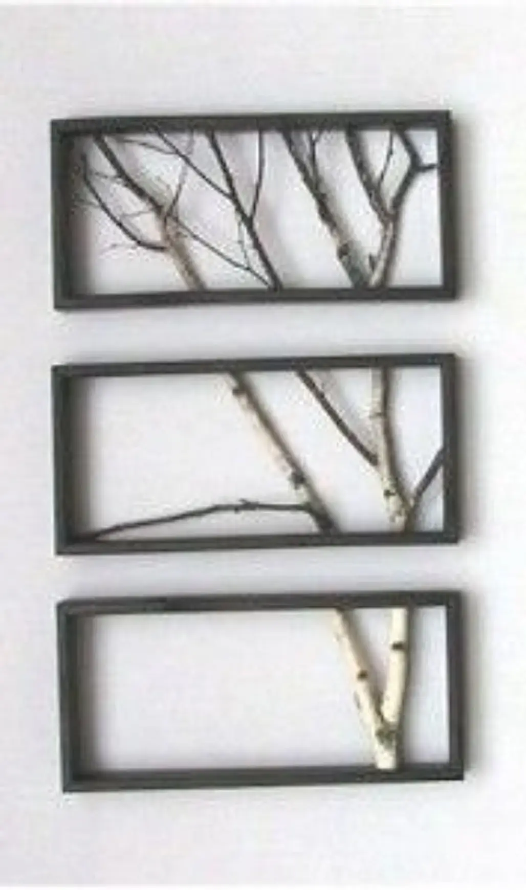 Branch Art