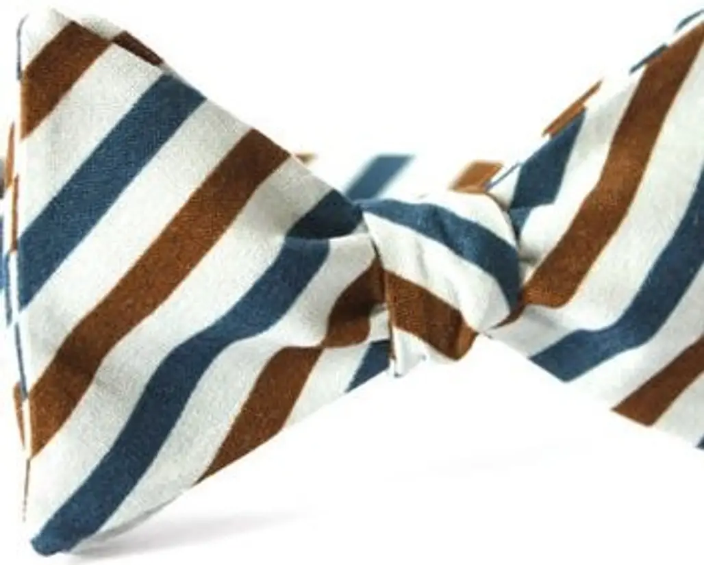 Multi Color Striped Bow Tie
