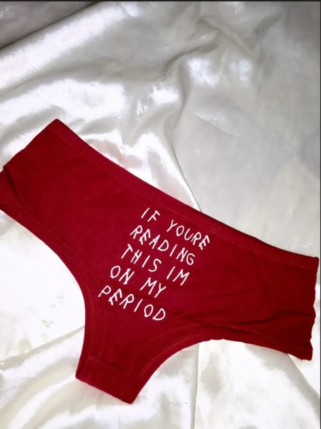 True Period Panties