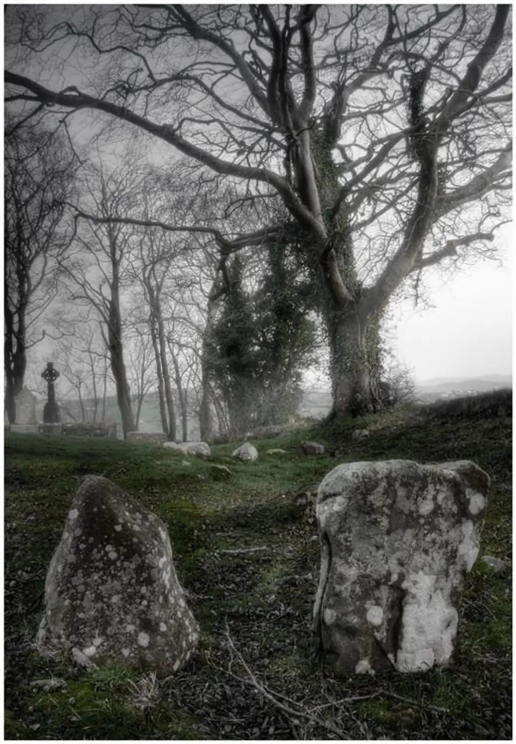 Killevy Church Graveyard, Ring of Gullion