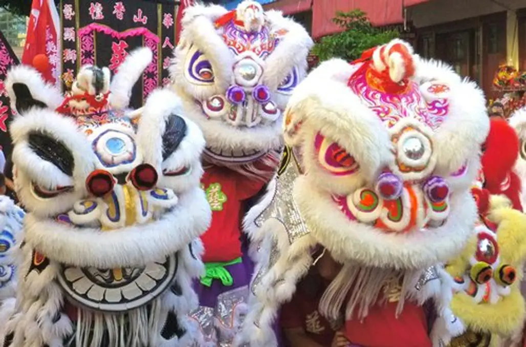 festival, tradition, chinese new year, event, carnival,
