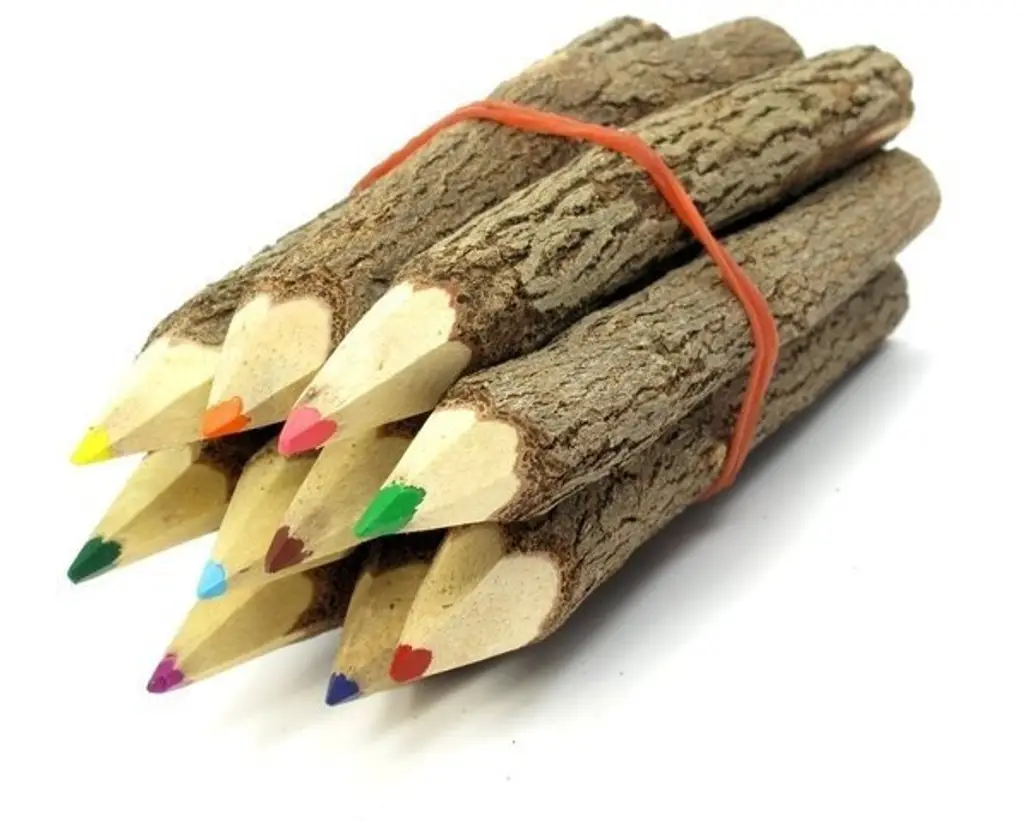 Branch & Twig Assorted Colored Pencils, 10-Pack