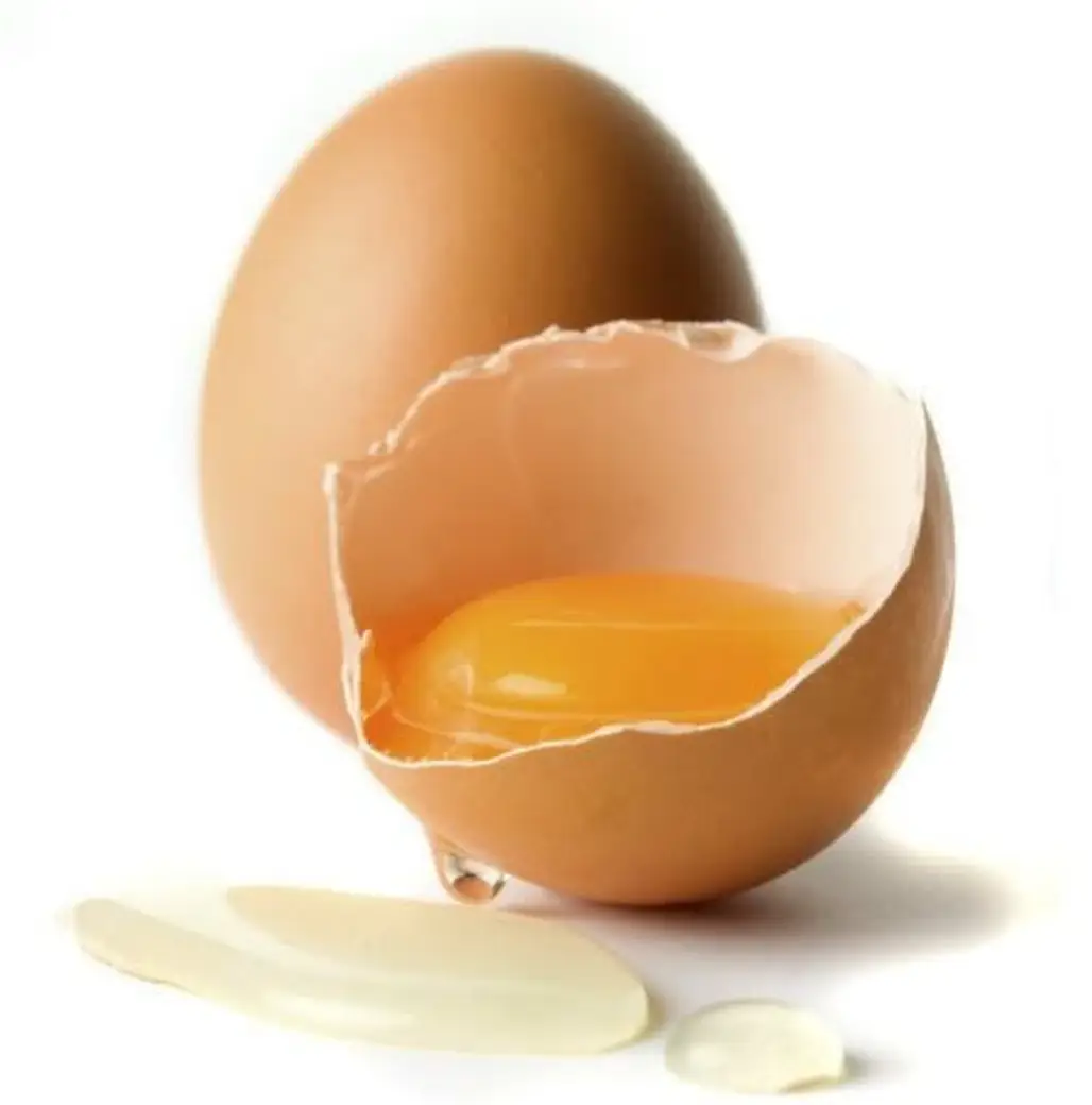 egg,food,egg yolk,egg,animal source foods,