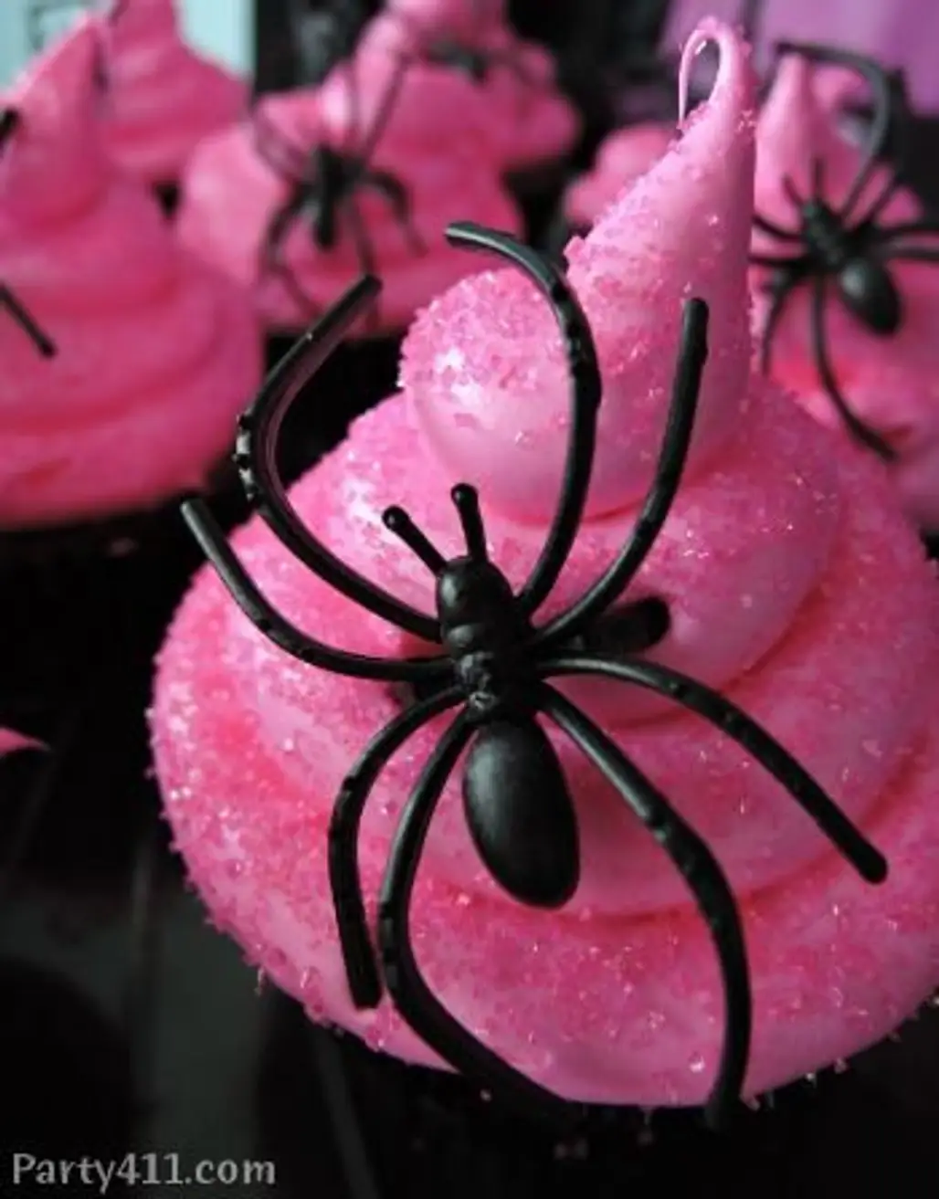Black Spider against Bright Pink