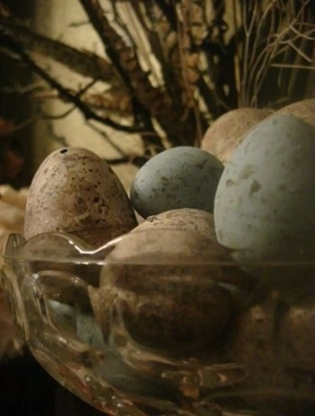 Primitive Eggs