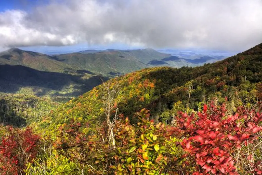 Joyce Kilmer-Slickrock Wilderness – North Carolina/Tennessee
