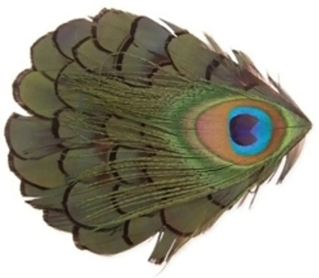 Funky ZAD Peacock Feather Hair Clip