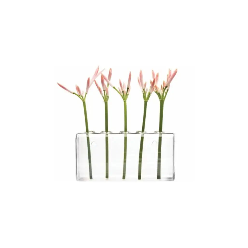 Chive Hudson Wall-Hanging Glass Flower Vase