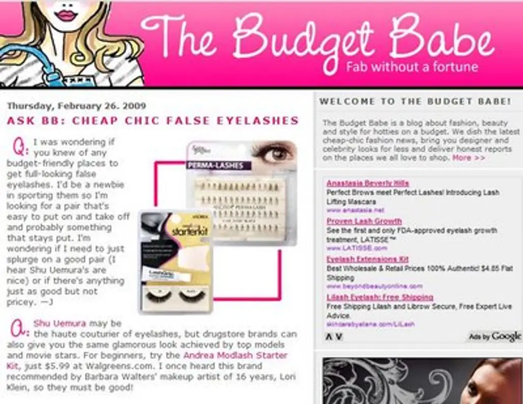 The Budget Babe by Dianna Baros