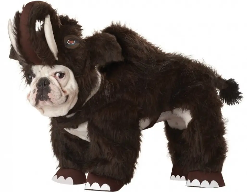 Wooly Mammoth Dog Costume, Small