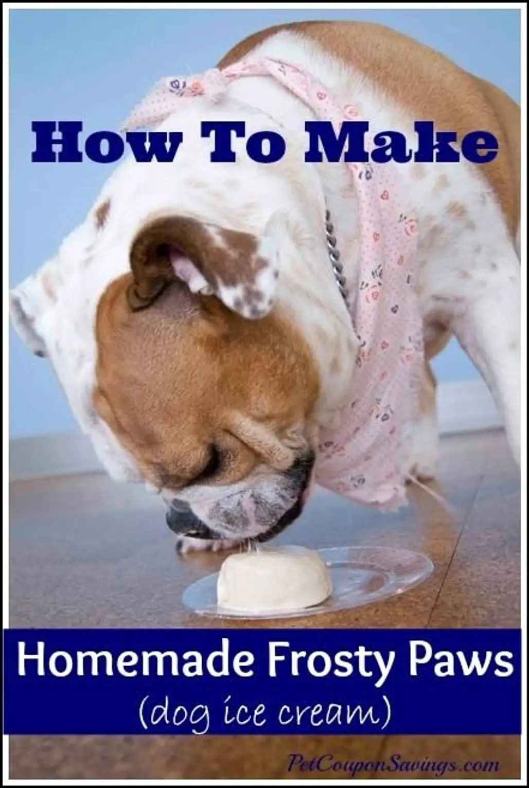 Make Homemade Frosty Paws
