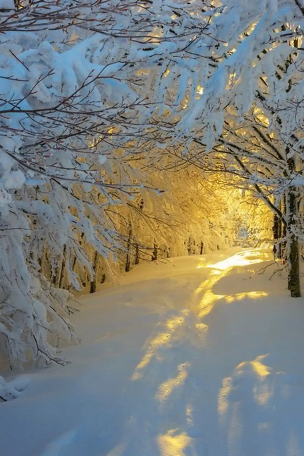 Snowy Sunrise, Italy