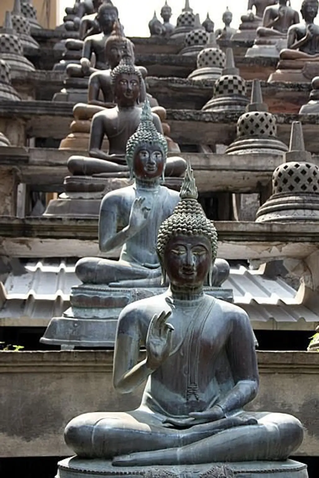 See a Collection of Buddhas