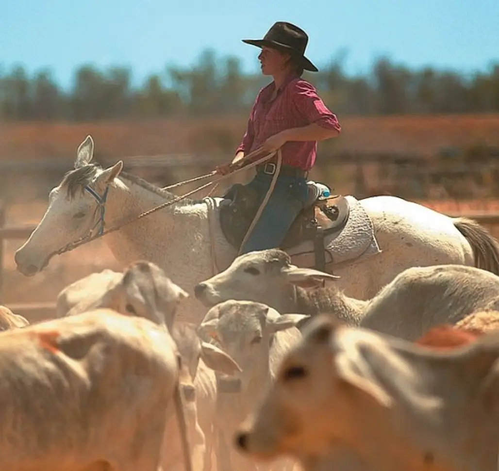 Find Your Inner Cowgirl at an Outback Cattle Station