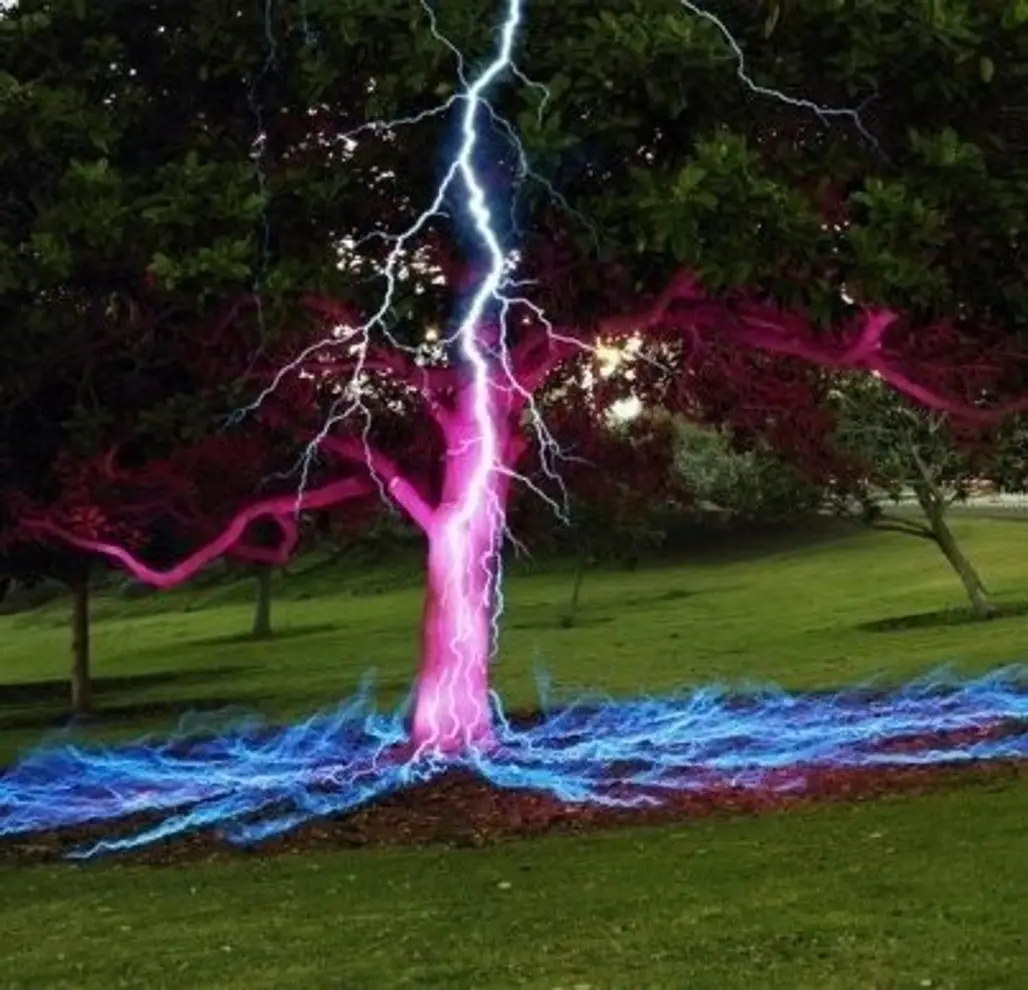 Lightning Bolt Hitting a Tree!