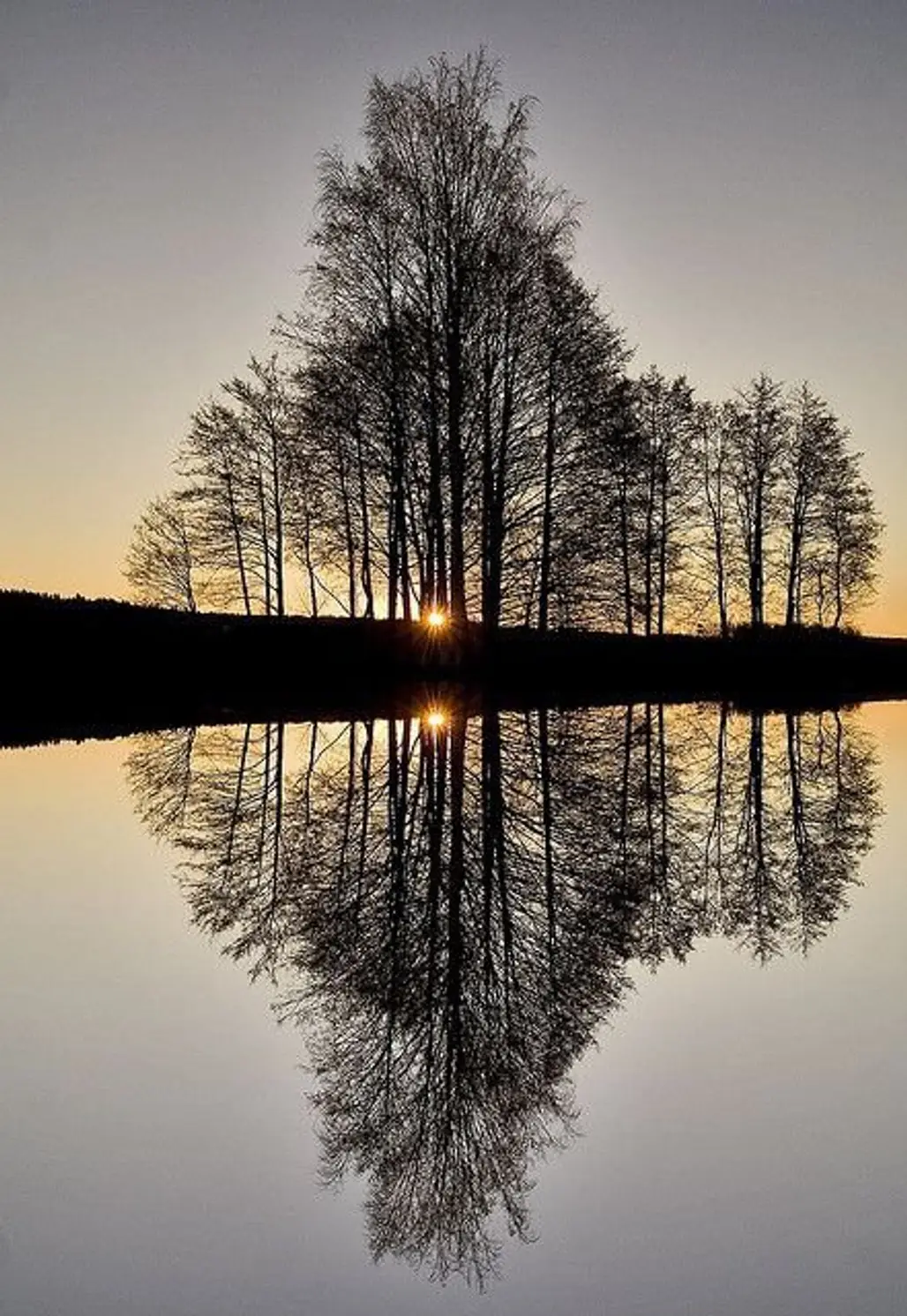 reflection,nature,tree,atmospheric phenomenon,water,