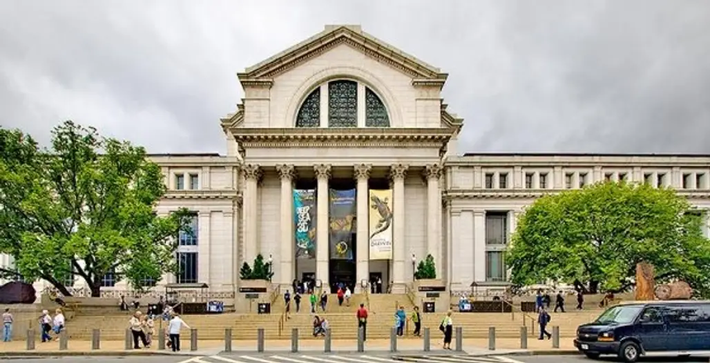 National Museum of Natural History, Washington DC