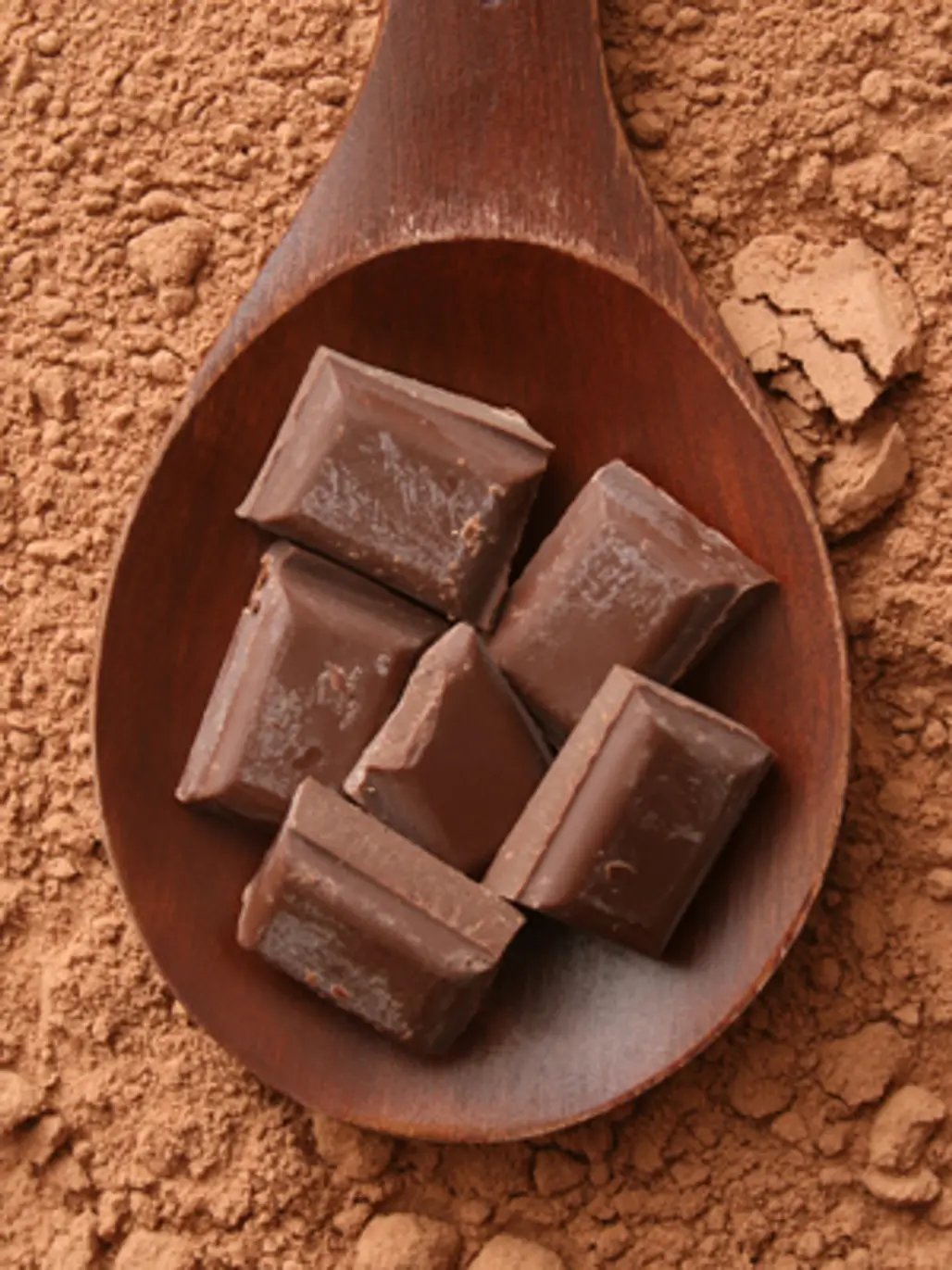 Savory Chocolate Mole