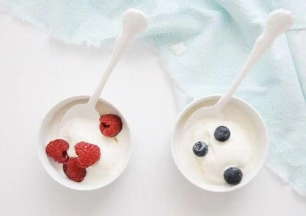 Organic Yogurt or Vegan Probiotics