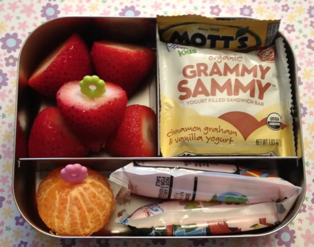 Grammy Sammy by Plum Organics