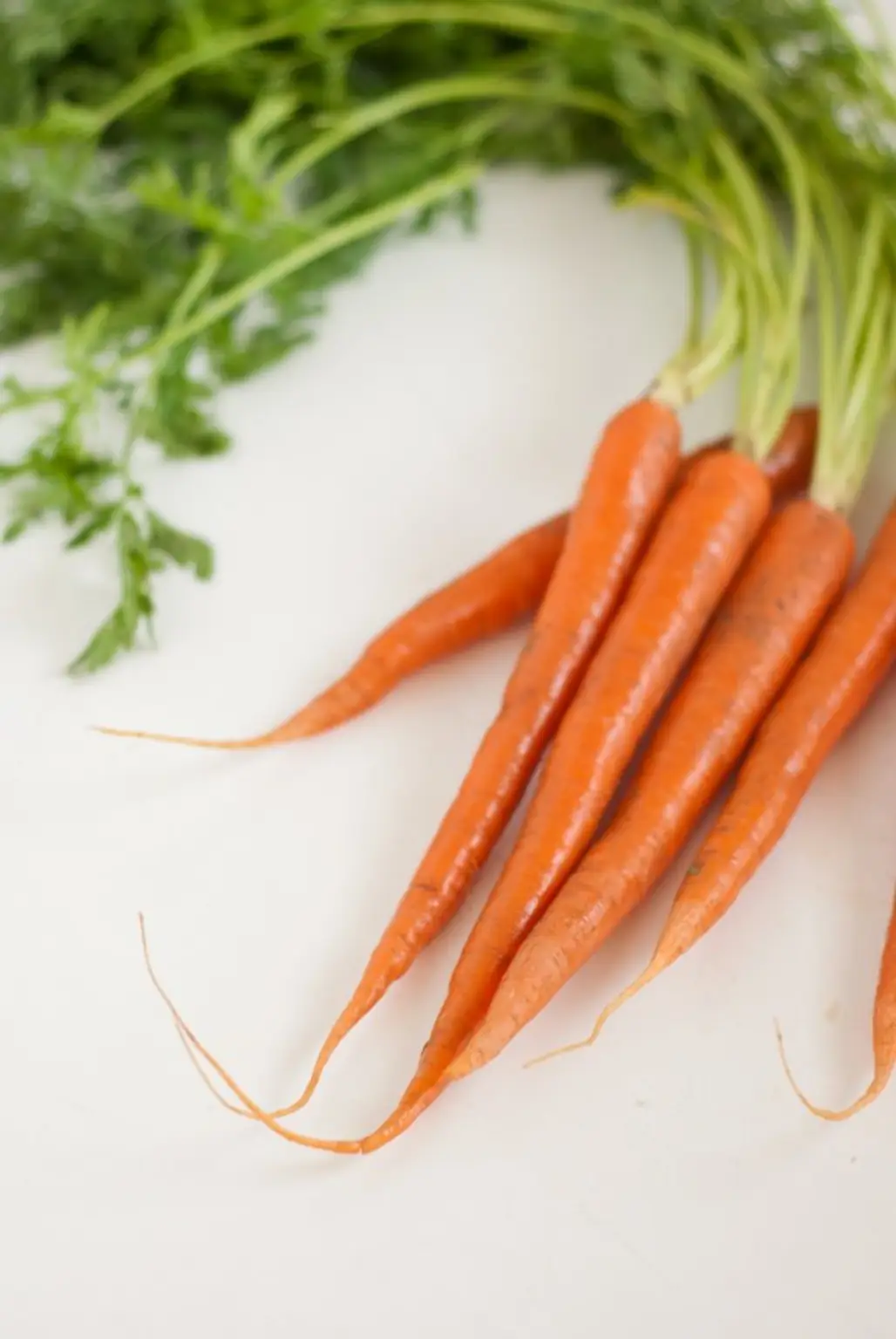 carrot,food,vegetable,produce,