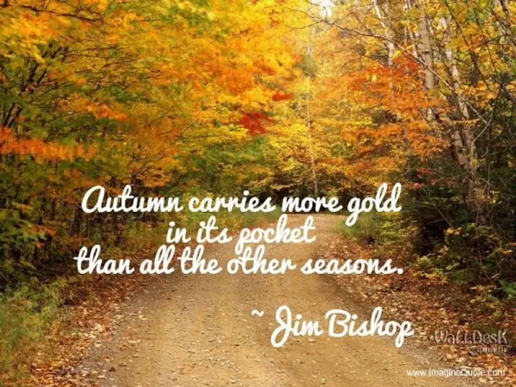 The Season of Gold