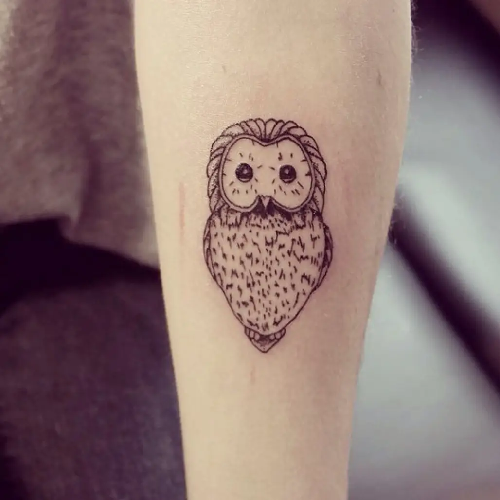 Another Owl