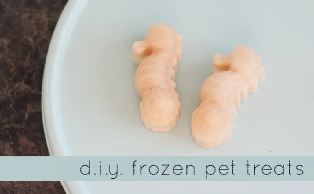 Frozen Pet Treats for Dogs and Cats