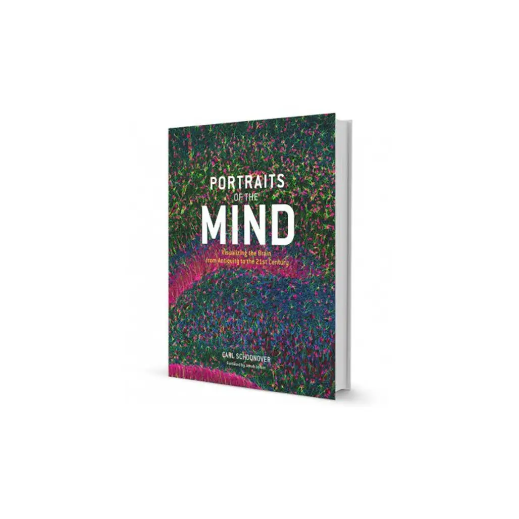 Portraits of the Mind: Visualizing the Brain