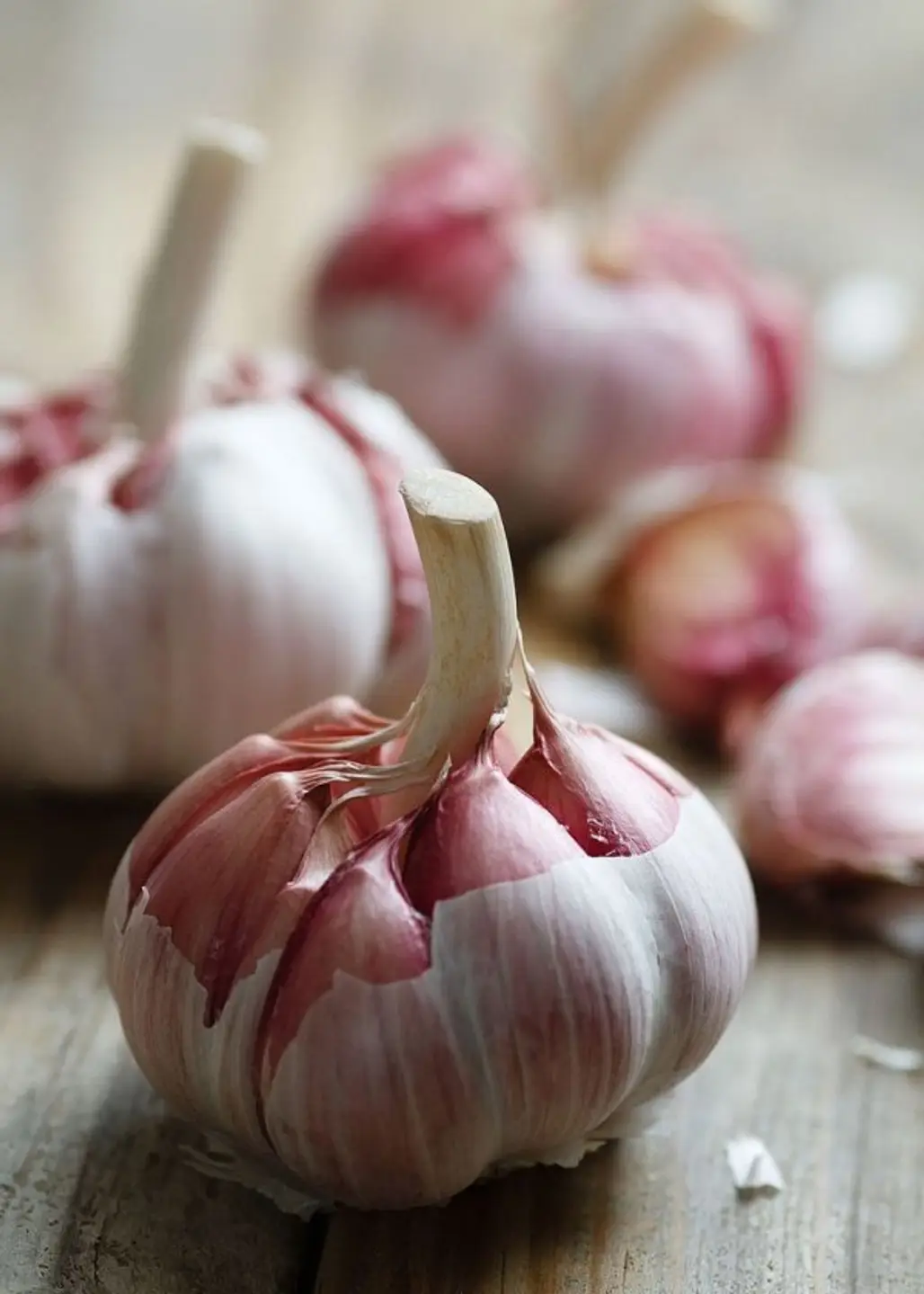 You Can’t Go Wrong with Garlic