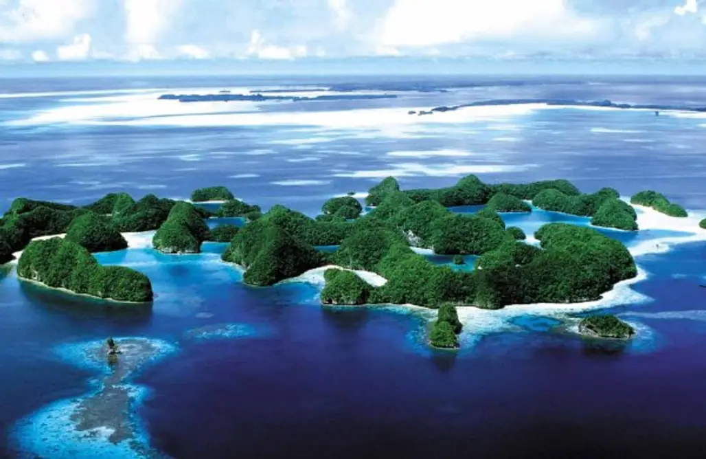 Micronesia – 66.3%