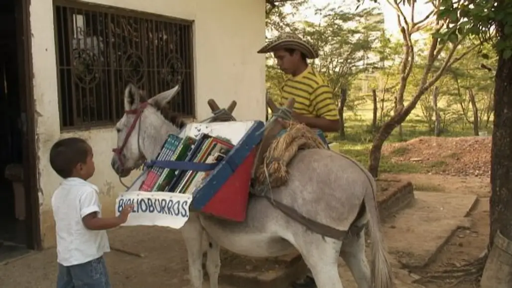 The Biblioburro: Delivering Books via Donkey – Colombia