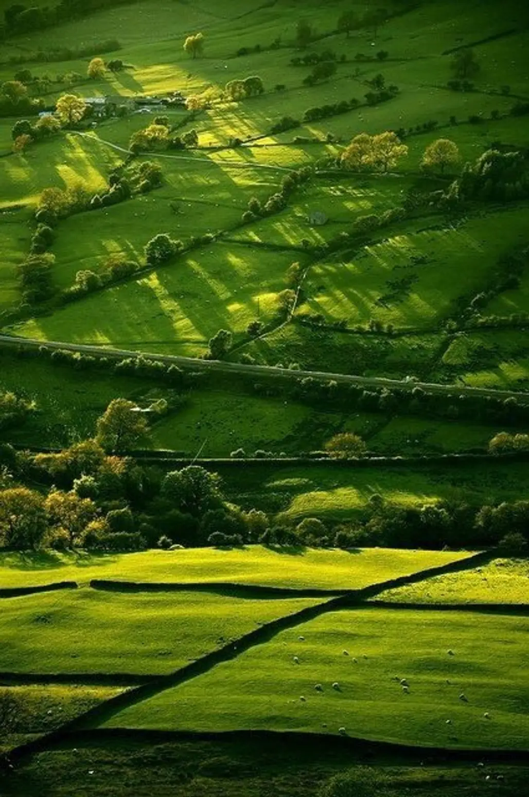 Green, Green Grass of Home