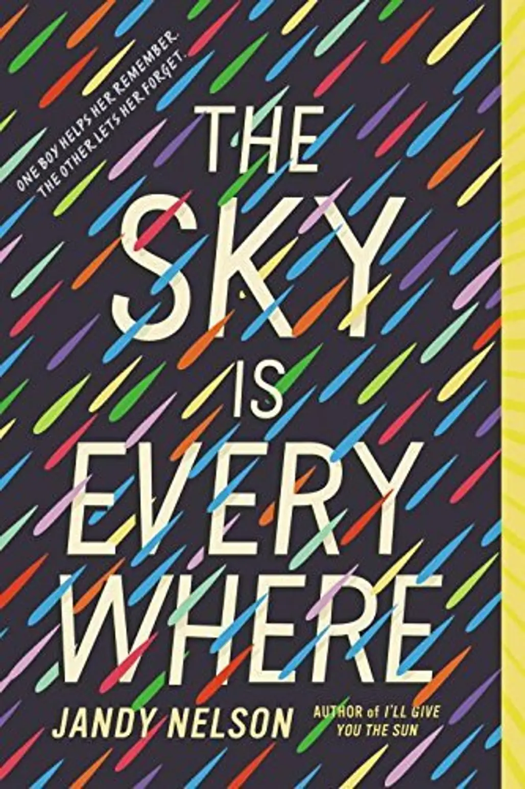 The Sky is Everywhere – Jandy Nelson
