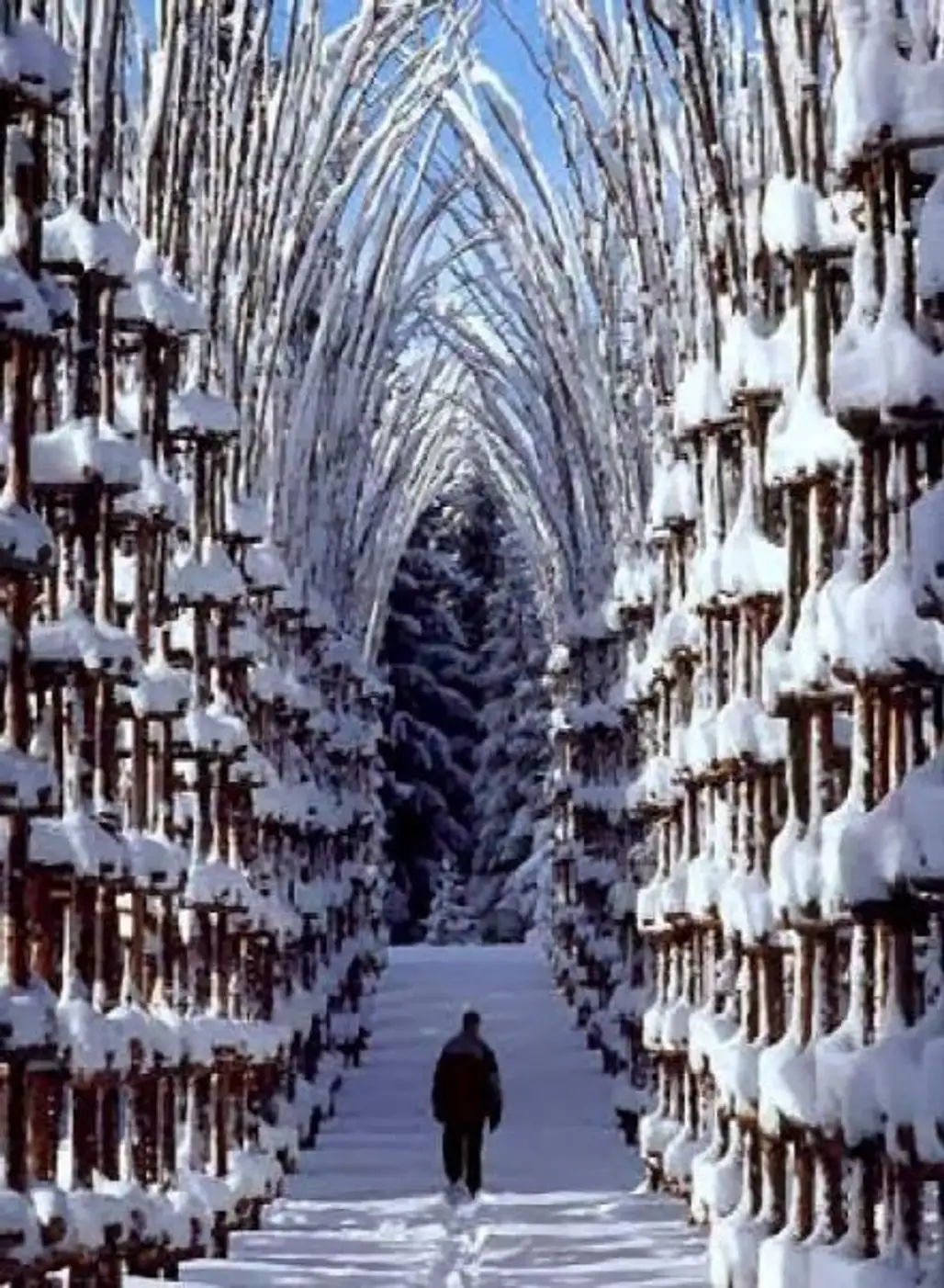 Snow Cathedral, Norway