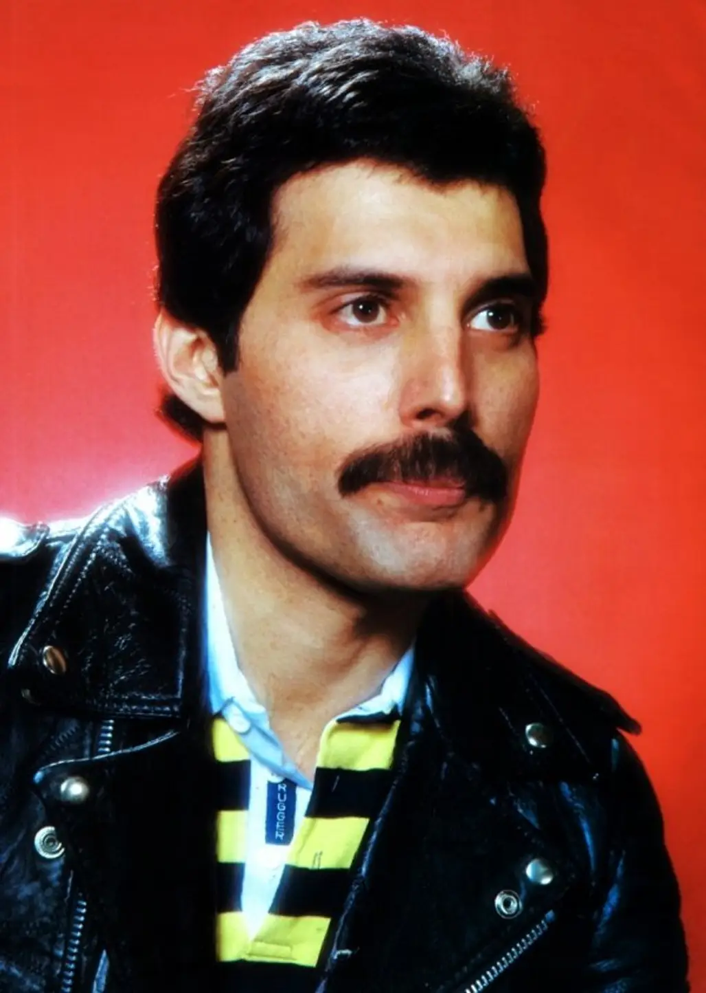 Freddie Mercury/Queen