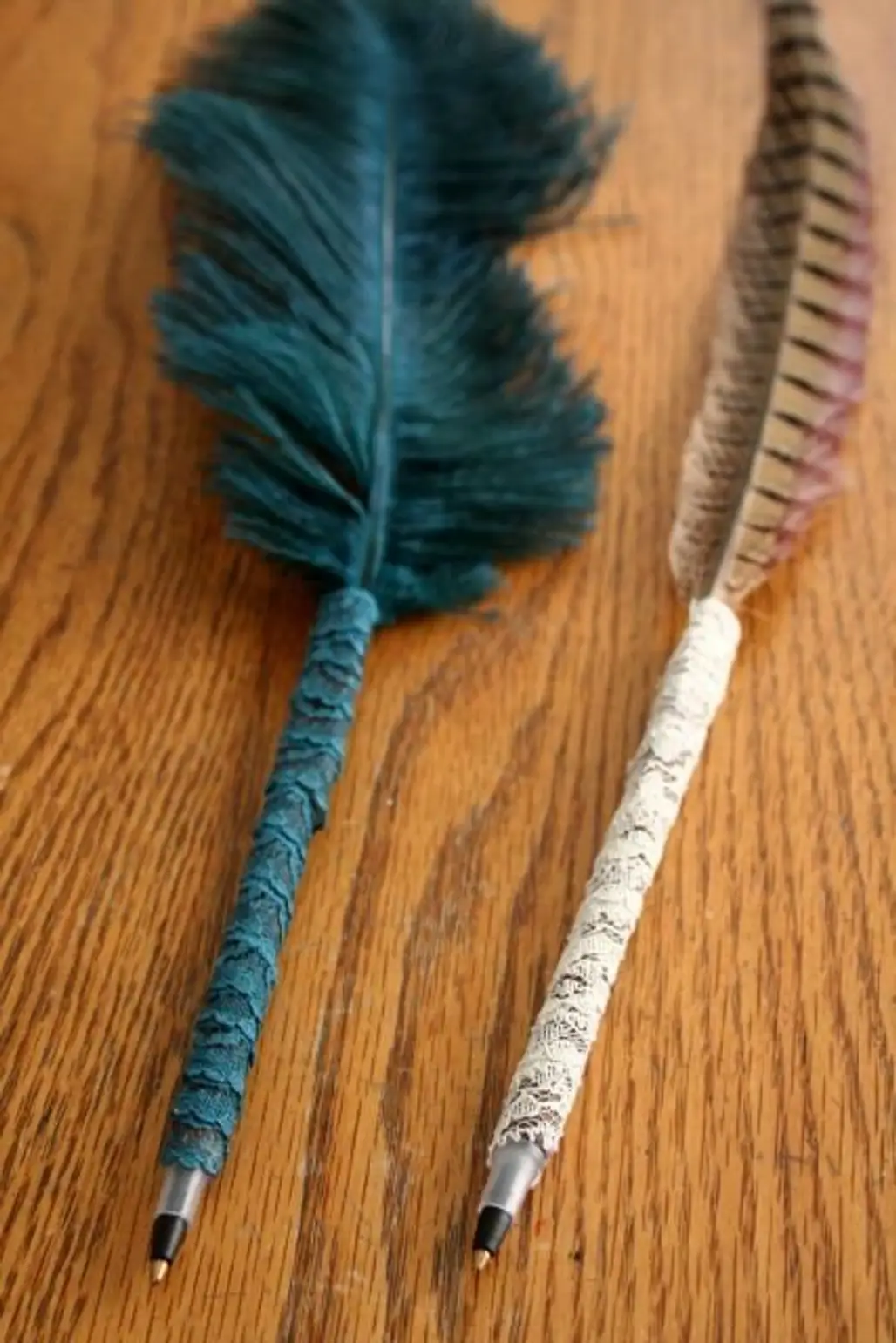 Feather Pens