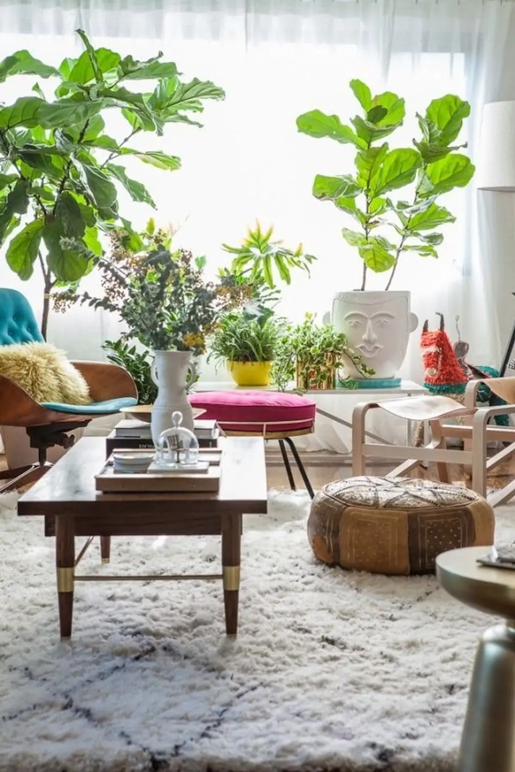 Styling an Indoor Garden by Emily Henderson