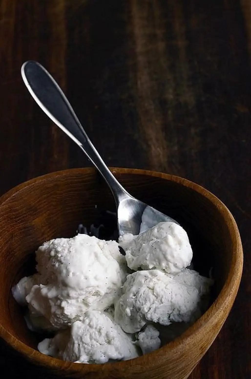 Coconut Vanilla Bean Frozen Yogurt