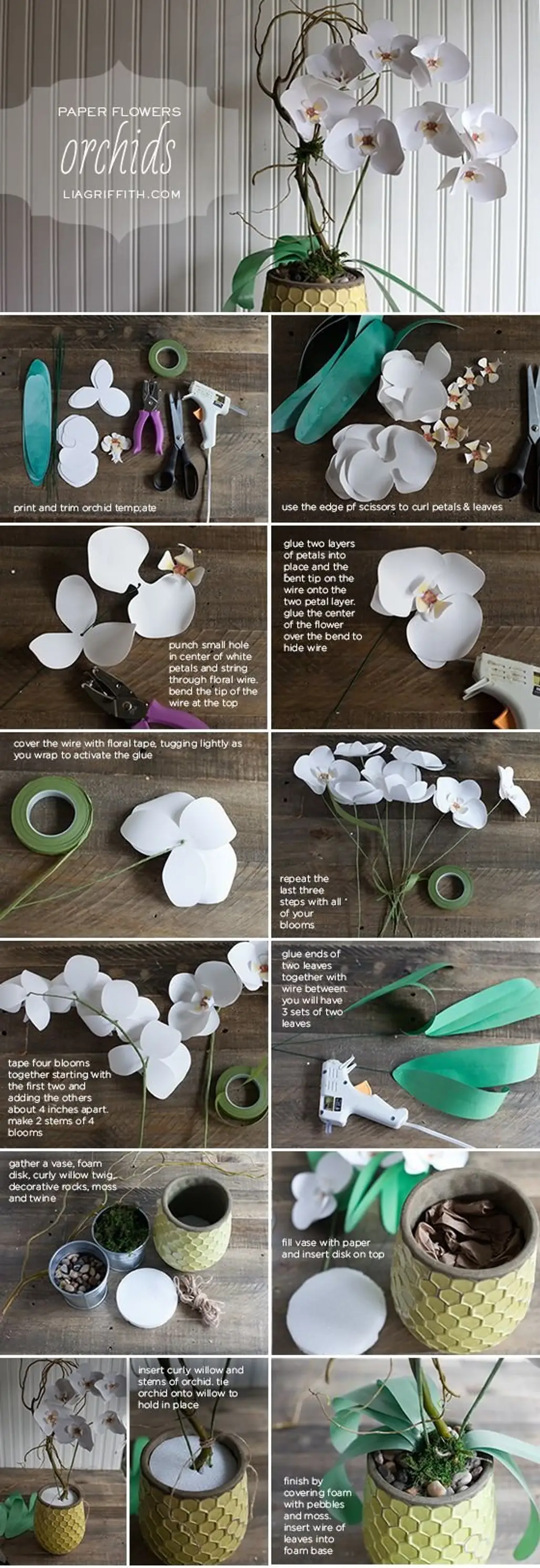 Paper Orchids