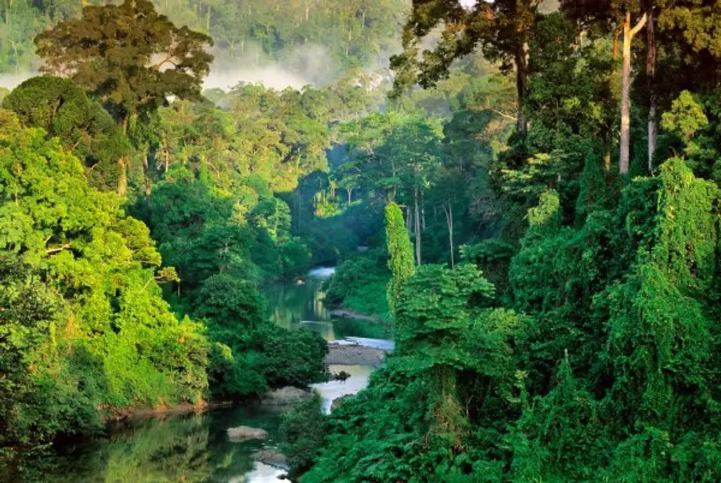 Borneo, Asia