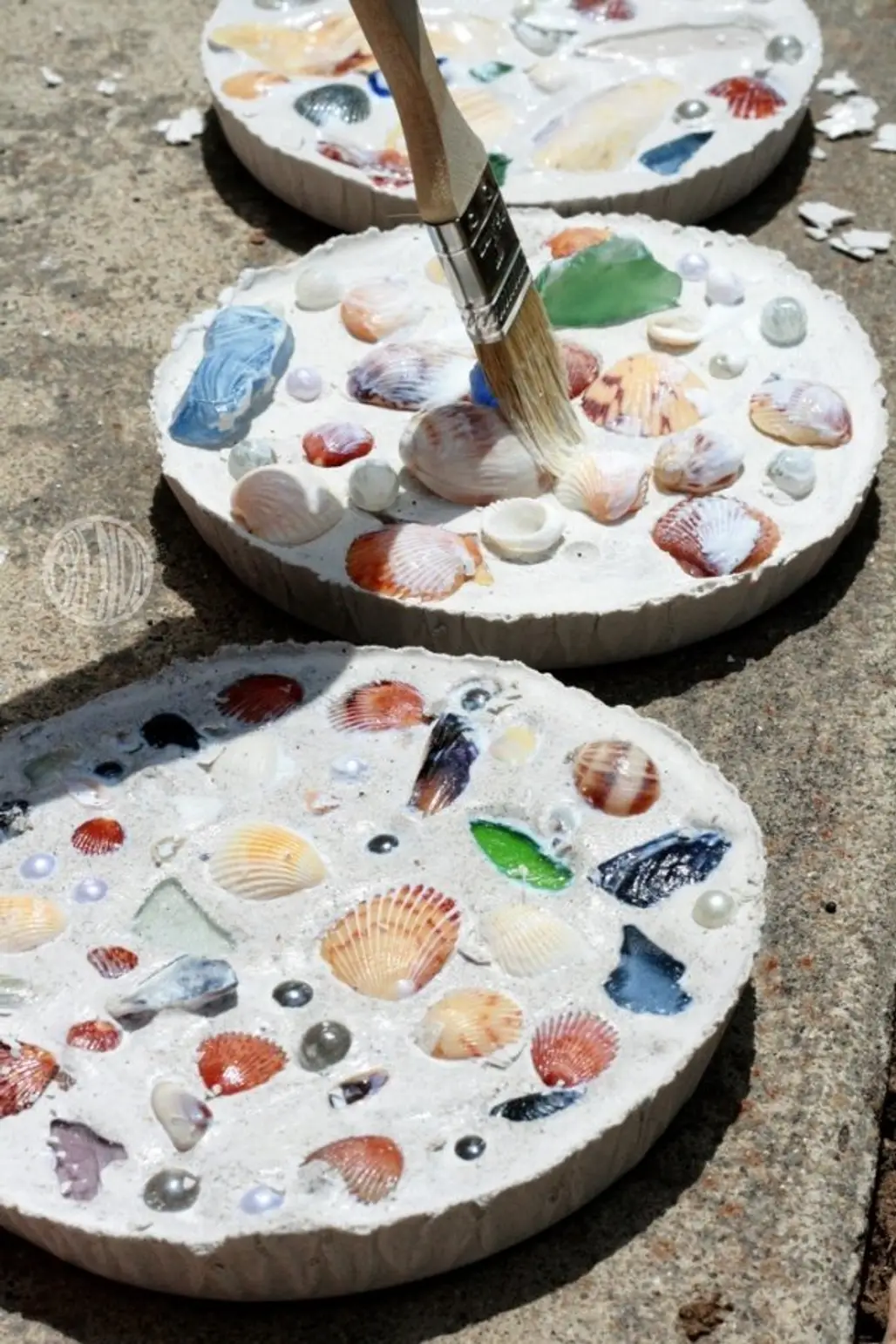 Shell Stepping Stones