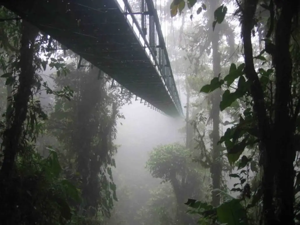 Costa Rican Cloud Forests