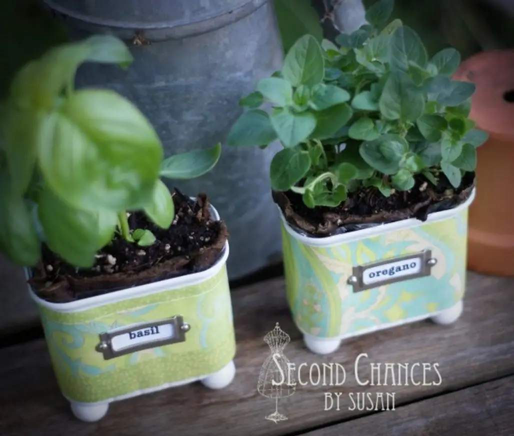 Plant Them in Canned Food Containers