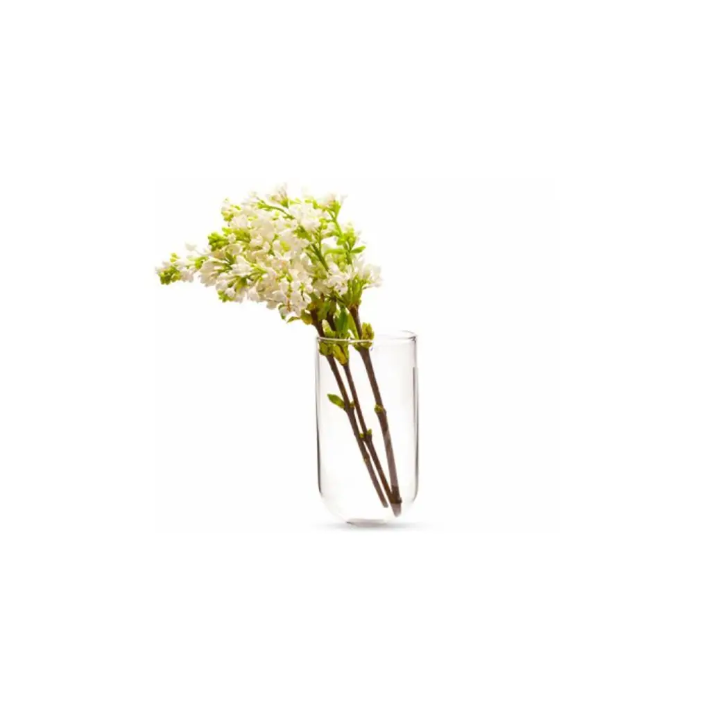 Chive, Hudson Wall Hanging Glass Vase