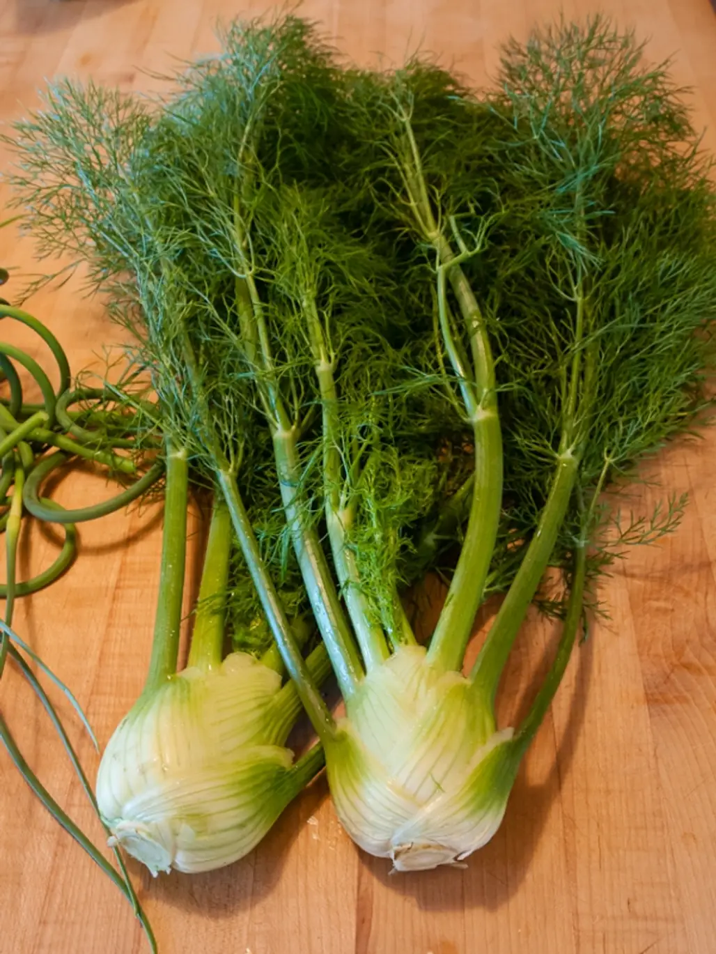 Chew Fennel and Anise after a Meal