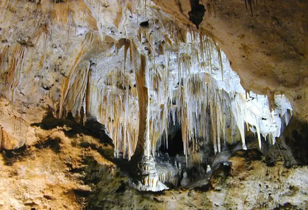Going Batty at Carlsbad Caverns National Park