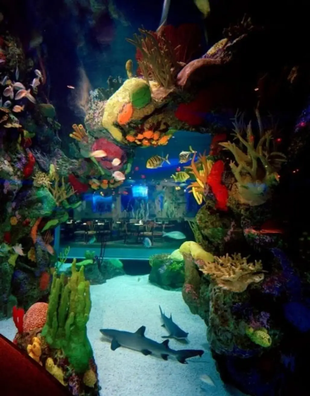 The Aquarium Restaurant, Kemah